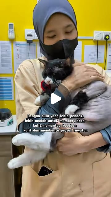 Kiki, Lion cut untuk rawat hama