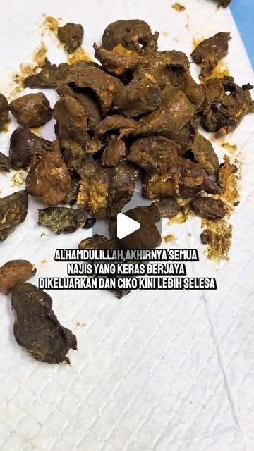 Sembelit , Kucing meneran tak keluar