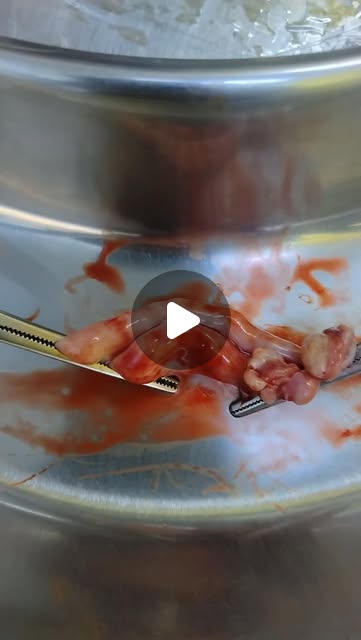 Spay semasa on heat, tiada cas tambahan