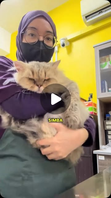 Simba Maine Coon, Rileks masa mandi