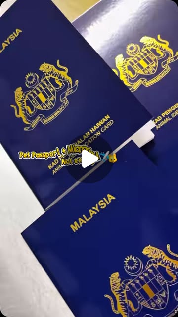 Persiapan perjalanan antarabangsa