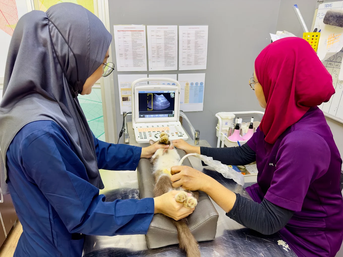 Ultrasound